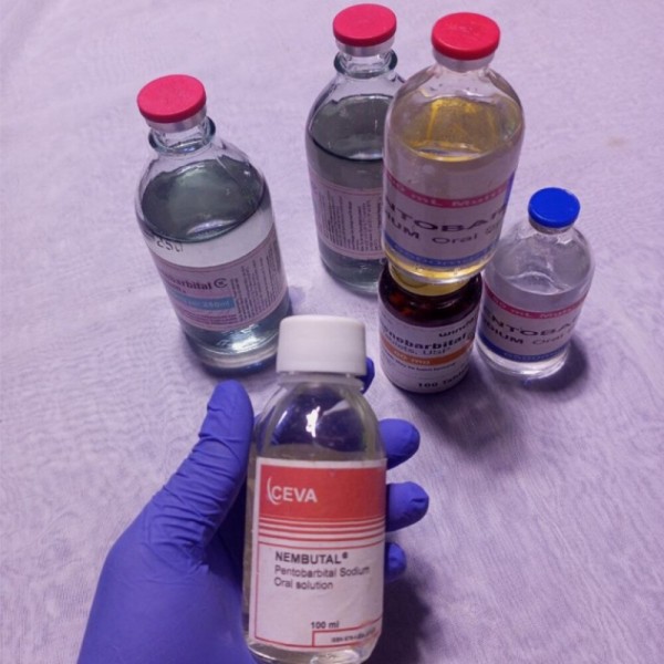 Nembutal for sale