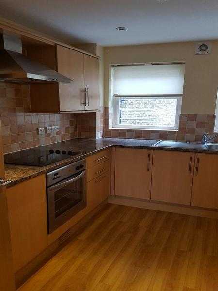 1 bedroom spacious flat to rent with river views, modern decor thoughout, viewing recommended - 700