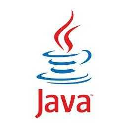 1-to-1 Coding Tutor - 10ph - JavaPythonMatlab