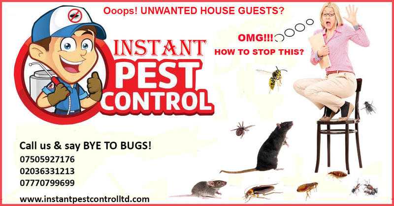 100 Guaranteed Pest Control (Mice, Rat, Cockroach, Bedbugs, Wasps, Spiders, Ants, Fleas, Termites )