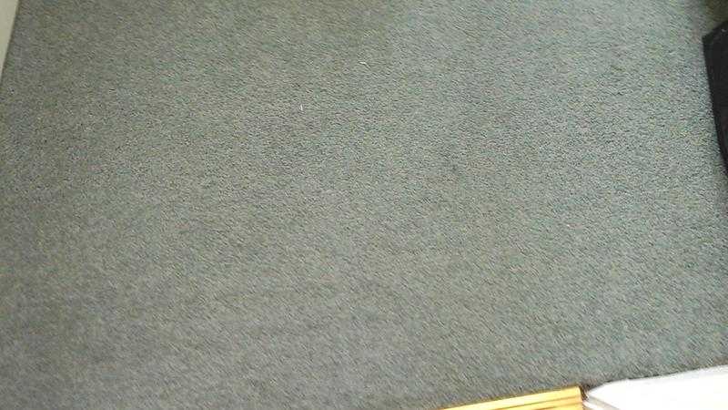 11039 square pale green carpet