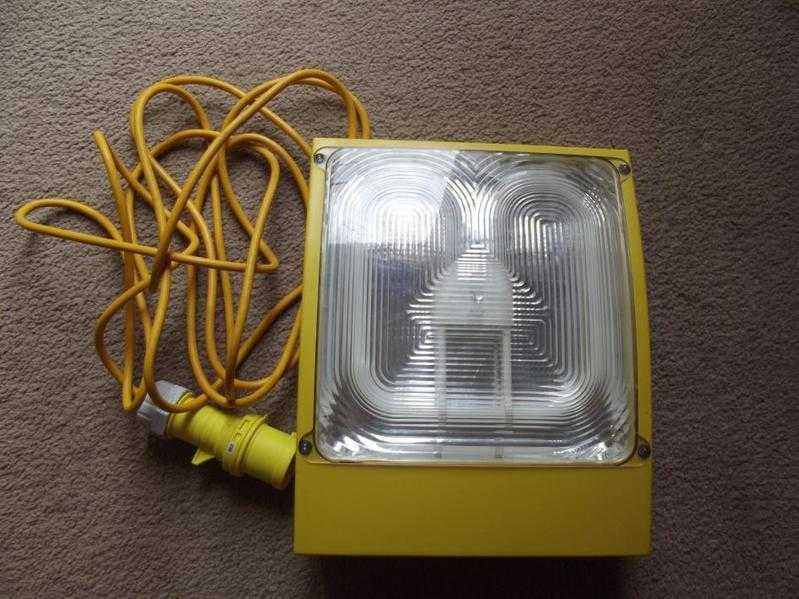 110V Site Light