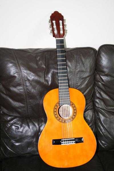 12 size acoustic guitar with soft case