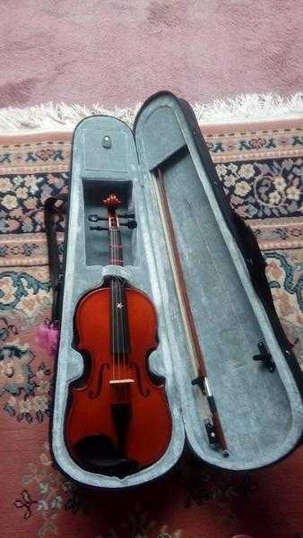 12 size violin