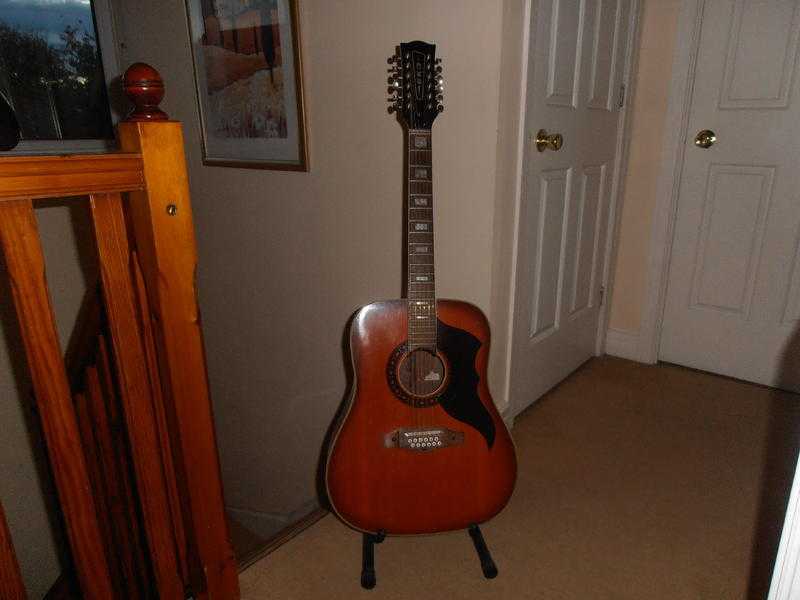 12 string acoustic guitar