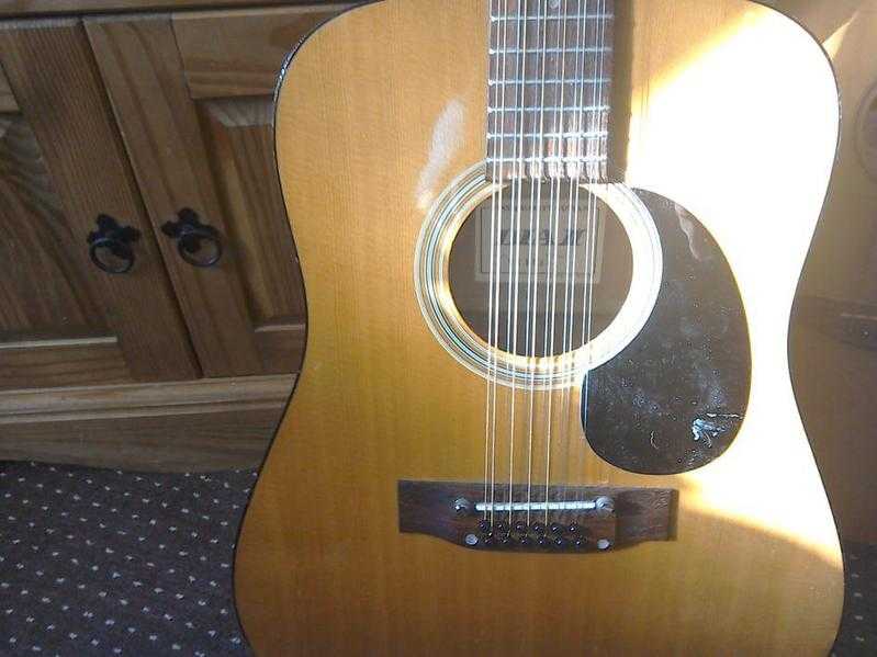 12 string dia 2 guitar