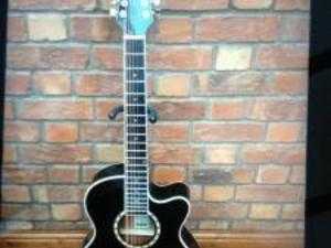 12 string guitar