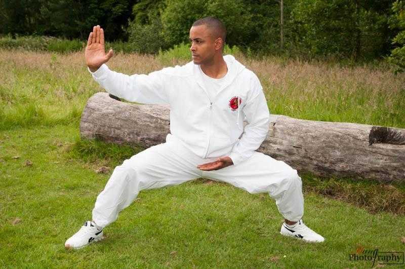 12 WEEK TAI CHI COURSE - Improve, Mind, Body, amp Spirit throughout life.