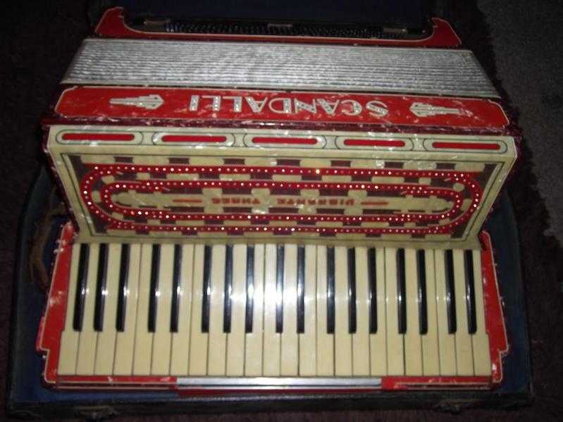 120 bass accordion with case