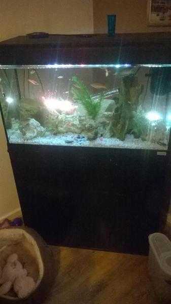 125litre fish tank, fish, accessories and cabinet