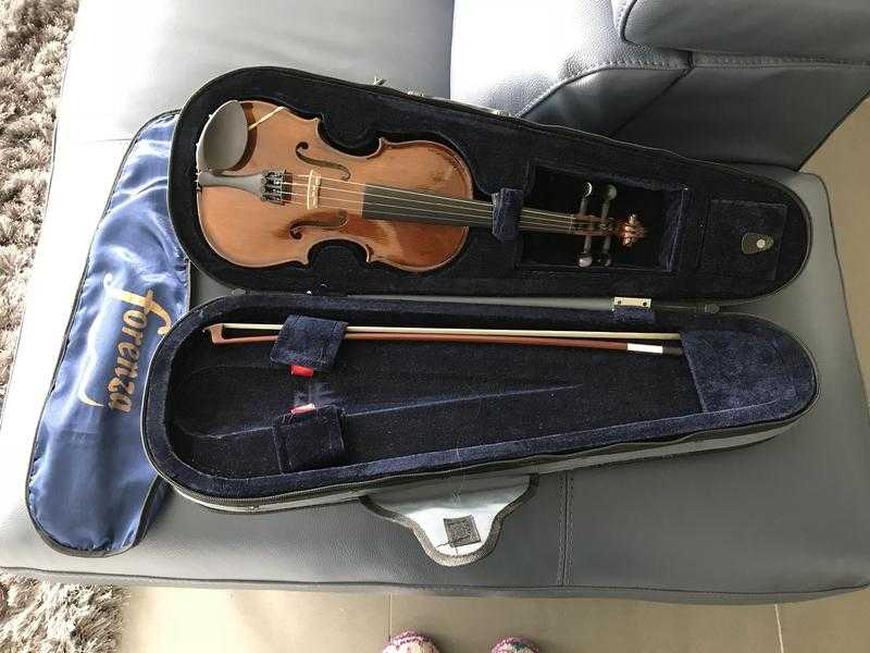 14 size violin