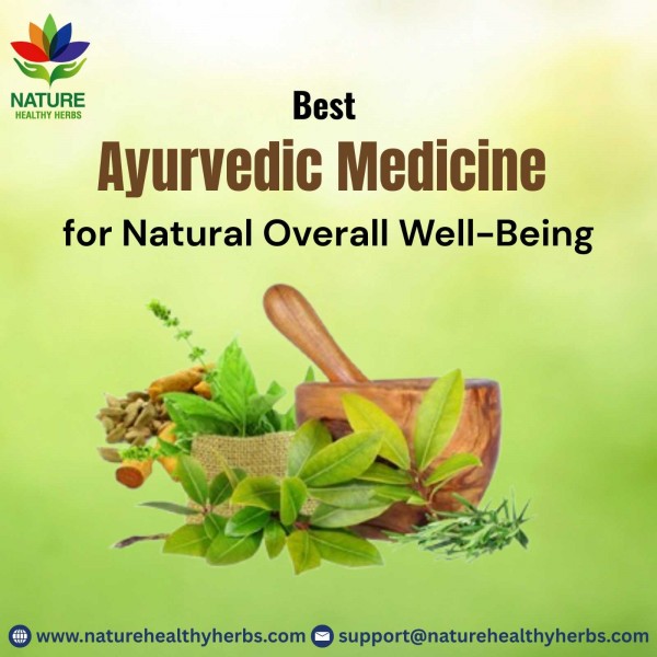 Best Ayurvedic Medicine for Natural Overall Well-Being