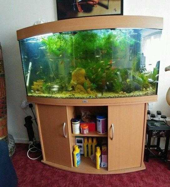 180 ltr Fully stocked Fish tank