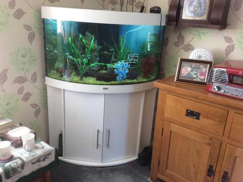 190 Litre Jewel Fish Tank