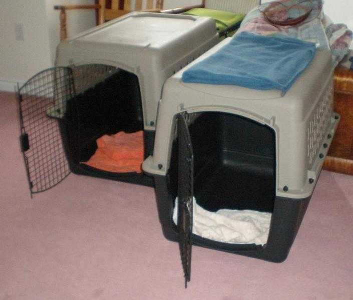 2 Airline approved dog travel crates (Portable Kennels)