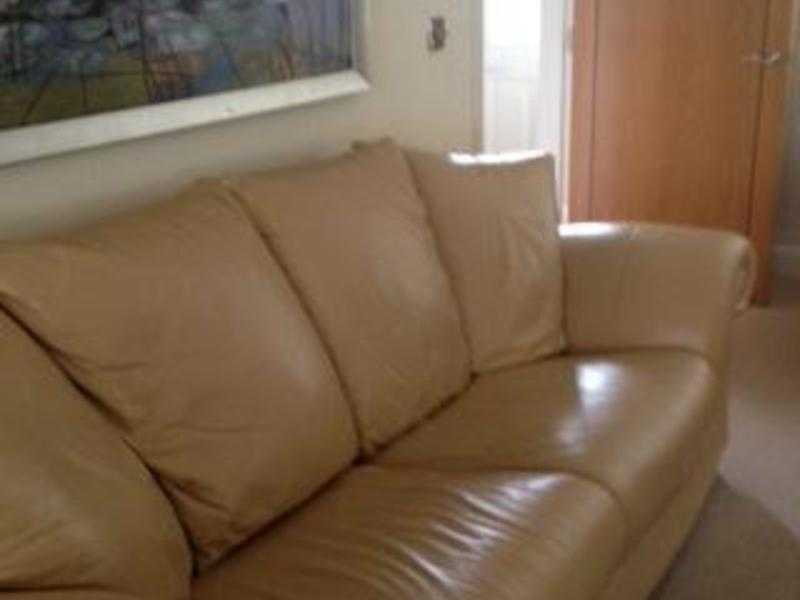 2 amp 3 Leather sofas  chair (almond)