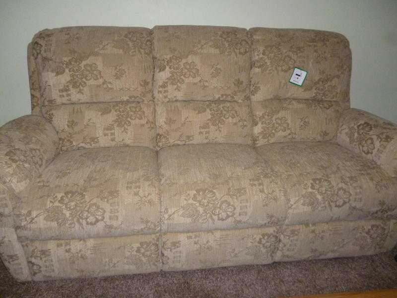 2 amp 3 Seater Fabric sofas