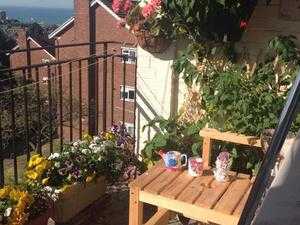 2 BED LARGE  FLAT LOOKING FOR 2BED PROPERTY SALTDEAN