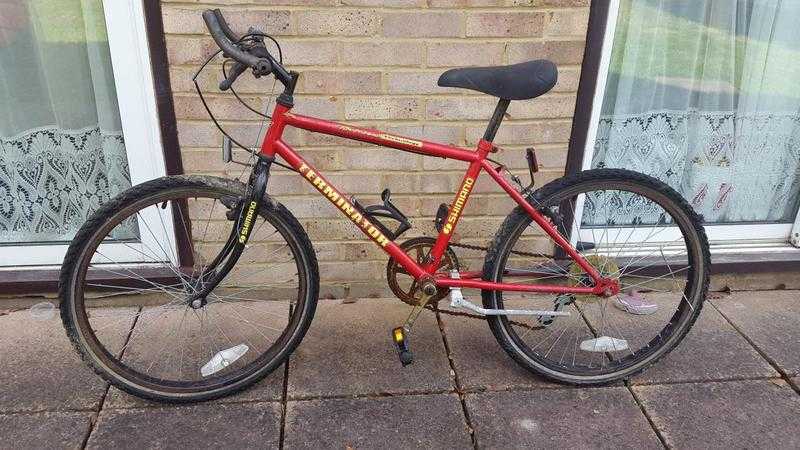 2 boys bikes and a womans bike