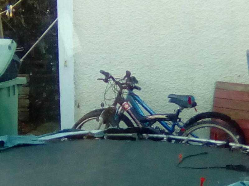 2 boysadult bikes