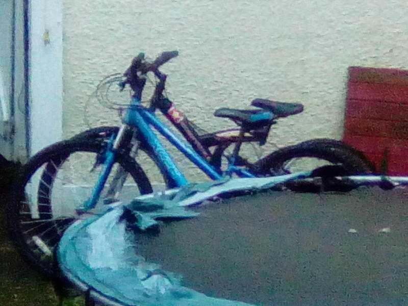 2 boysadult bikes