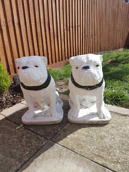 2 British bulldogs