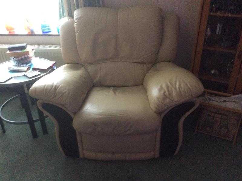 2 Large Leather Recliners