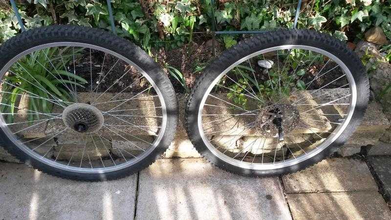 2 mountain bike wheels