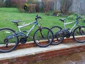 2 mountain bikes