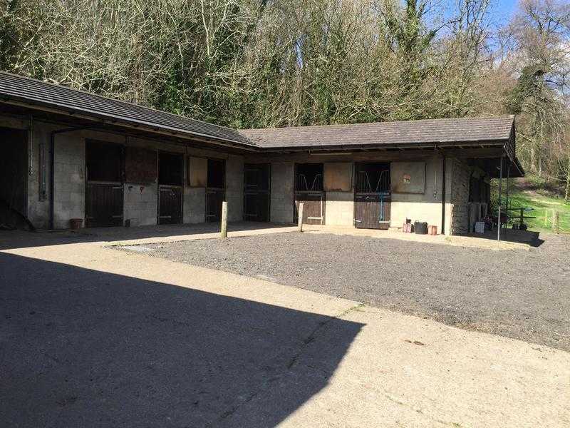 2 stables available