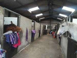 2 STABLES AVAILABLE BALERNO