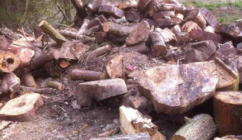 2 ton of firewood logs for wood burning stove or open fire, Hitchin, Letchworth, Baldock, Harpenden