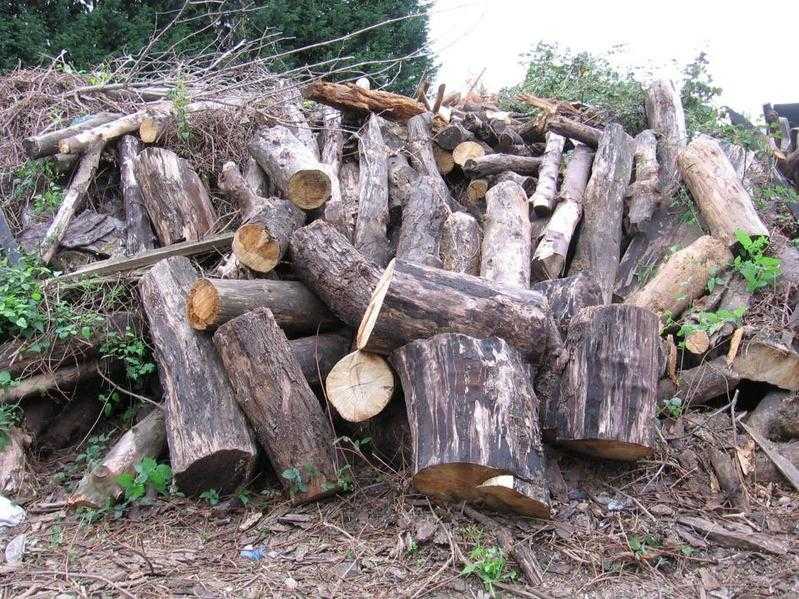 2 ton of firewood logs for wood burning stoves or open fire, to Luton, Dunstable amp Harpenden