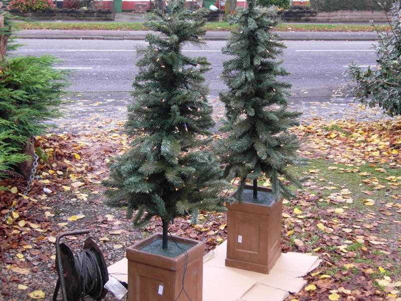 2 XMAS TREES WITH LIGHTS