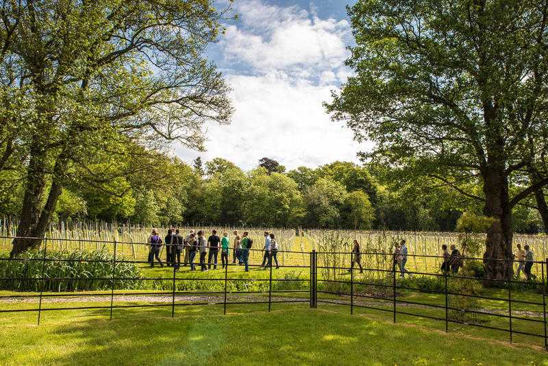 20 off Buy amp Book Vineyard Tours