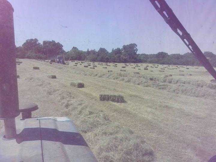 2016 hay in conventional bales