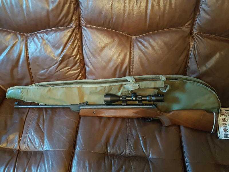 22cal air rifle