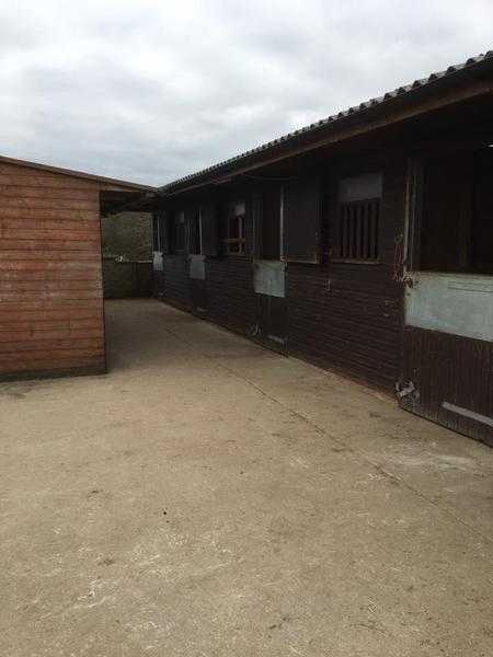 23 stables on small friendly yard for rent