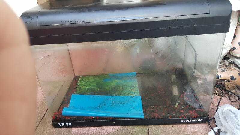 2ft fish tank