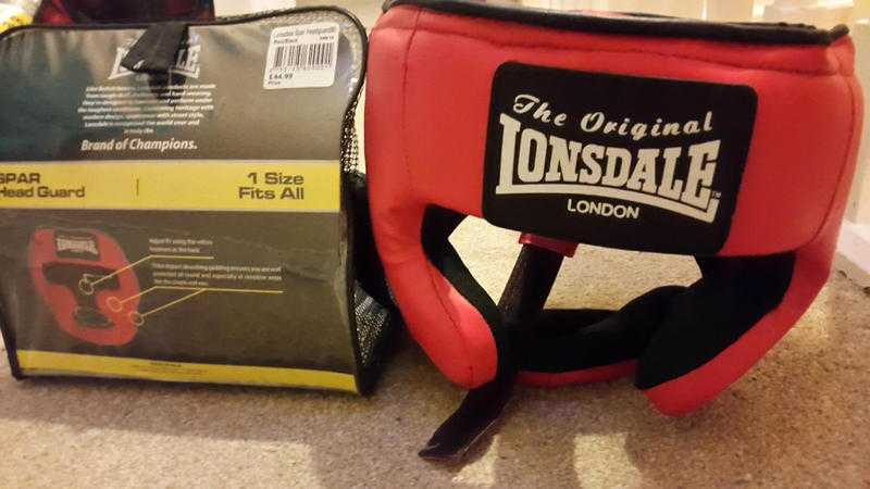 2X Lionsdale head guard