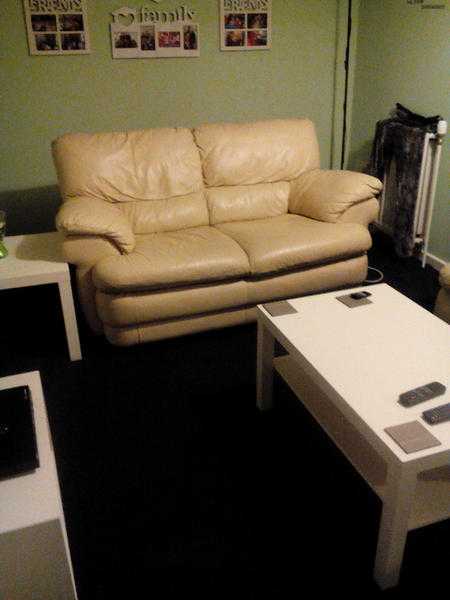 2x2 leather seater sofa