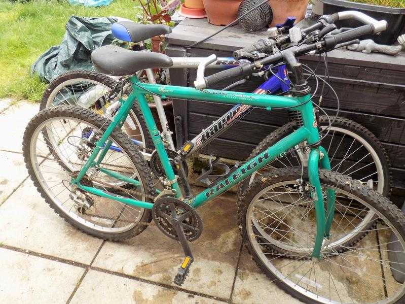 3 Adults bikes