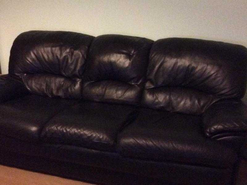 3 seater amp 2 seater leather sofas