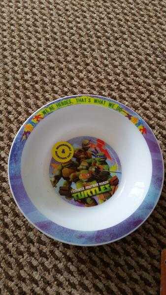 3 TMNT bowl