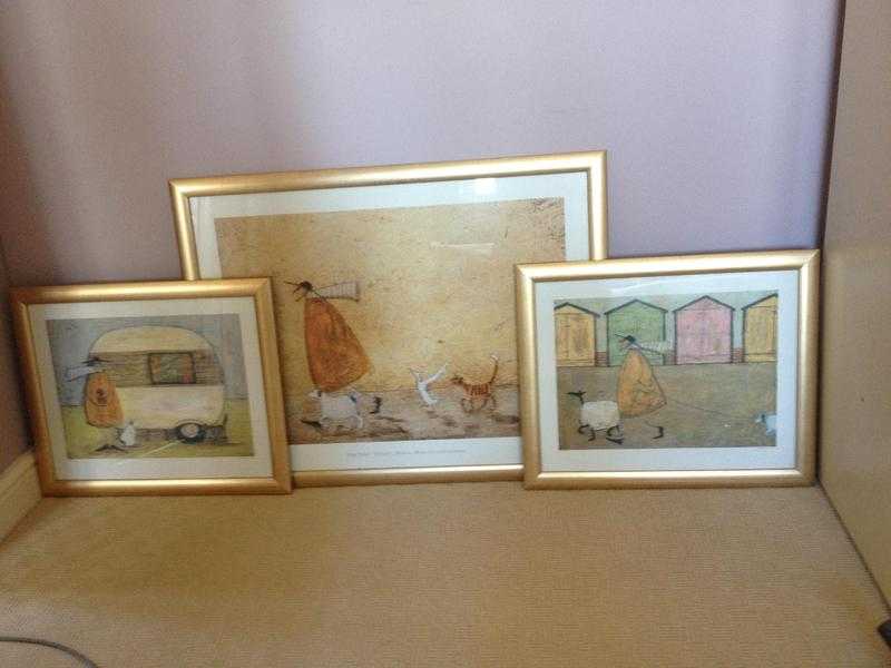 3 x Sam Toft pictures in gold frames