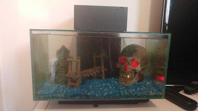 3 x tropical fish inc Fluval tank and accessories. perfect start up tank