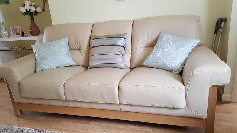 3amp2 seater leather sofas