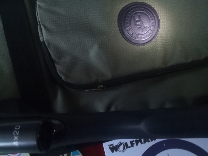 BRAND NEWISH GAMO DELTA JUNIOR 