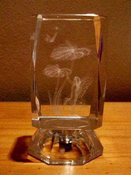 3D LASER ETCHED CRYSTAL GLASS PAPERWEIGHT FAIRY BUTTERFLY