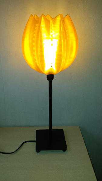 3D Printed Designer Lamps
